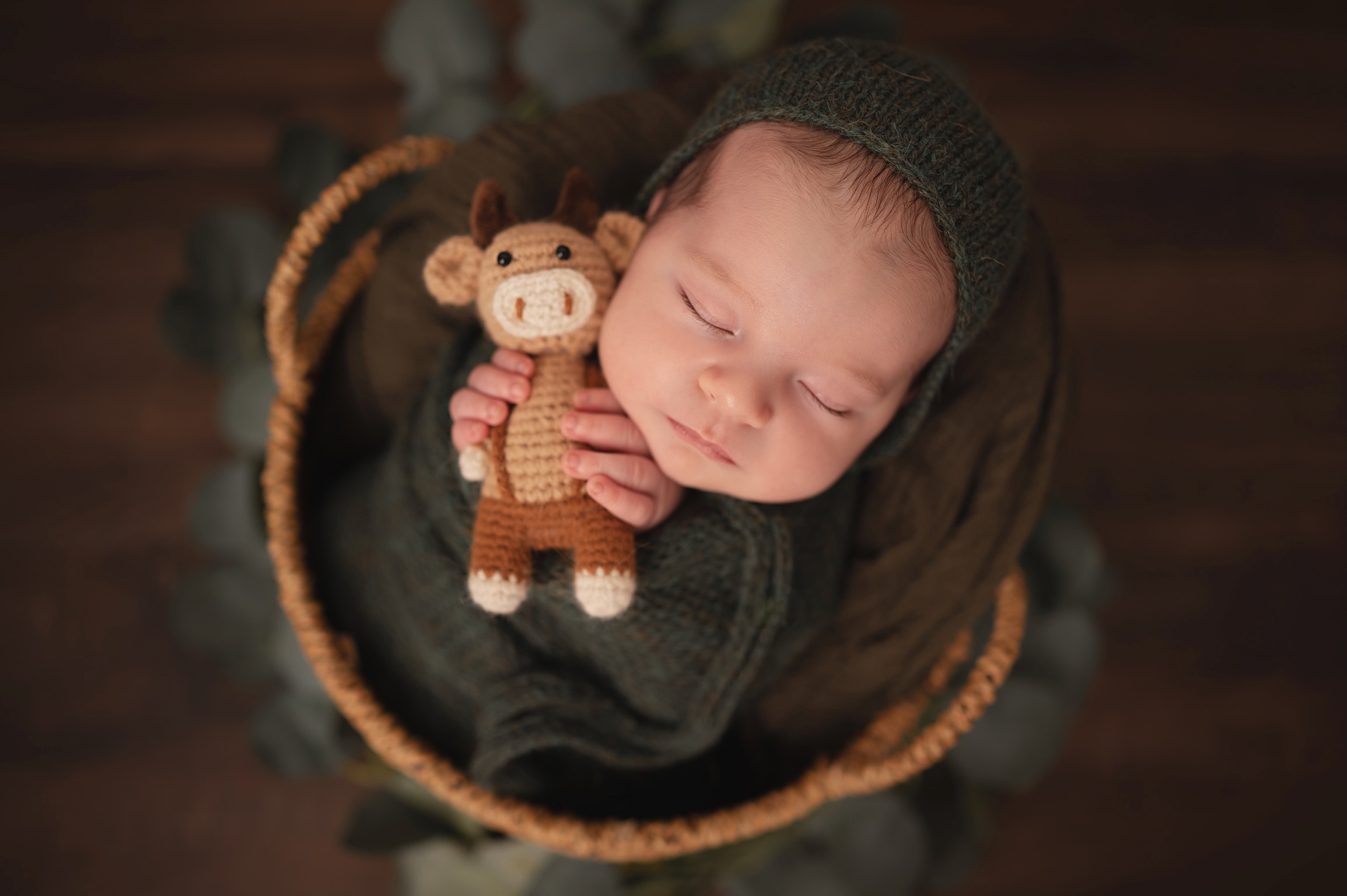 Tarifs Photographe nouveau ne collection Classique Tarifs Photographe nouveau ne collection Classique